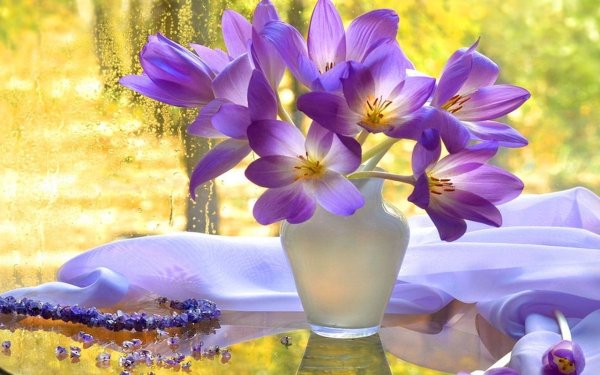 Цветы для души