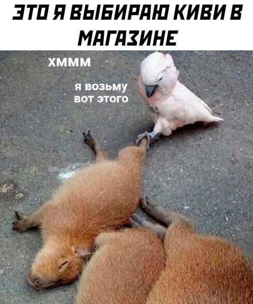 Приколы про весну