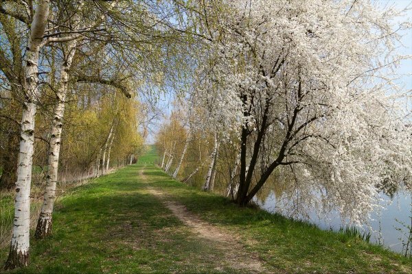 Природа России весной