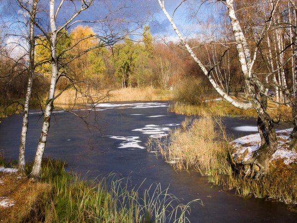 Ранняя Весна в средней полосе России