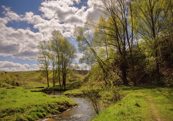 Весенние пейзажи средней полосы