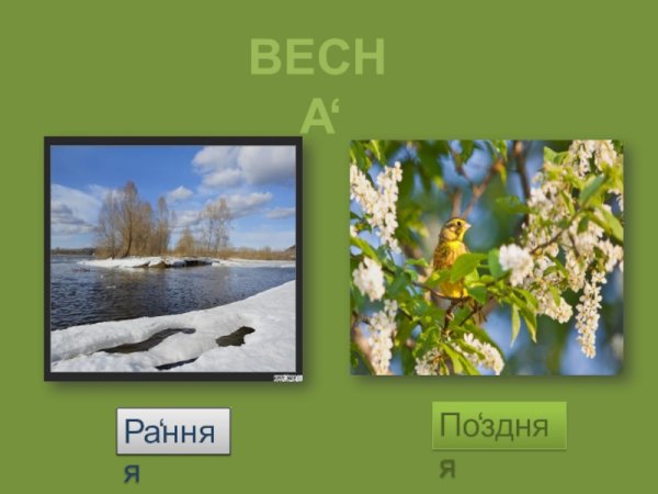 Ранняя и поздняя Весна