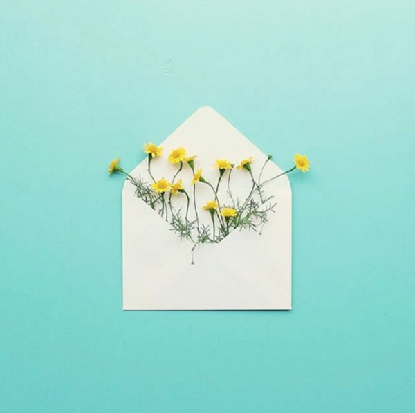 Весенние цветы карточки для детей