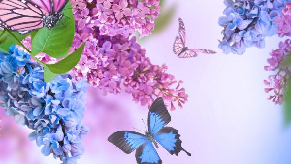 Времена года иллюстрации