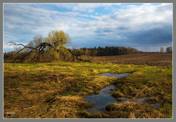 Земля пробуждается пейзаж