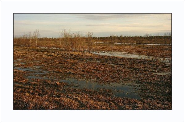 Участок ранней весной