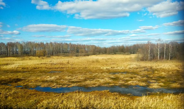 Поле ранней весной