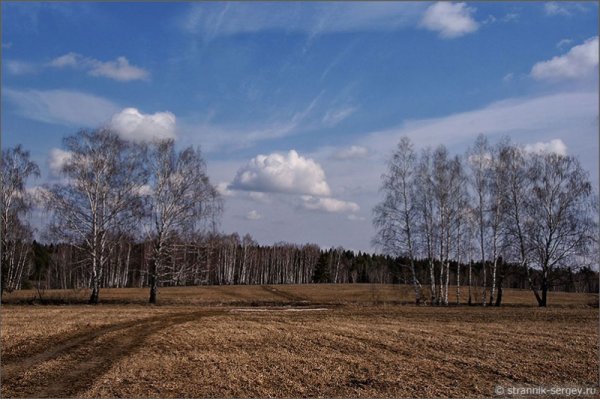 Ранняя Весна в поле