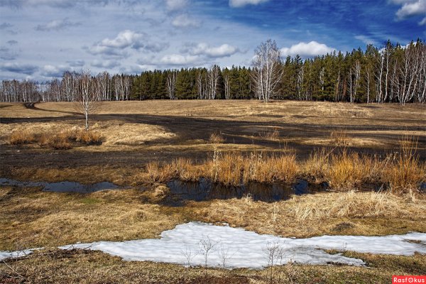 Поле ранней весной