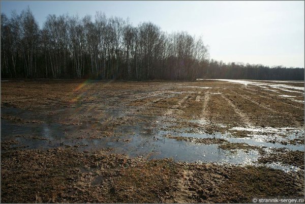 Поле ранней весной