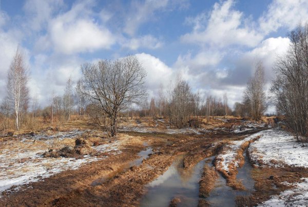 Весна снег