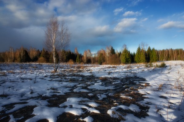 Весна природа