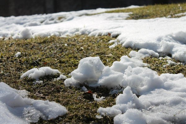 Пробуждение весны