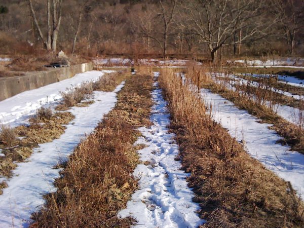 Весенний пейзаж