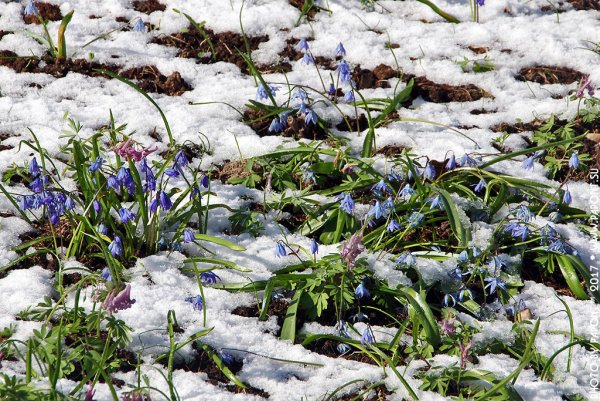 Весна в Марий Эл