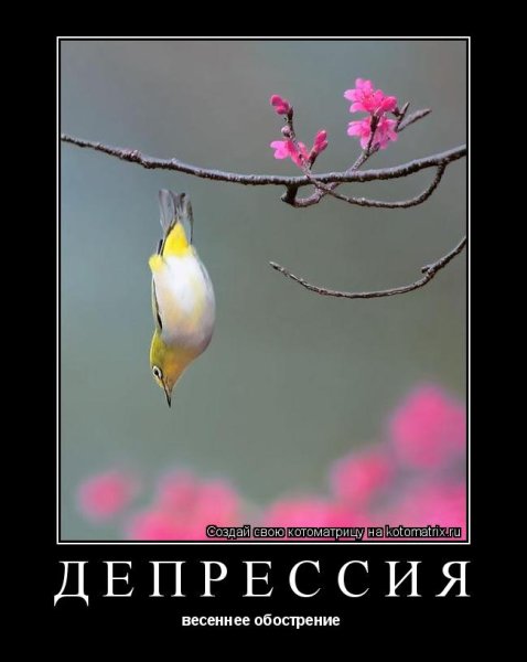 Омск грязный город