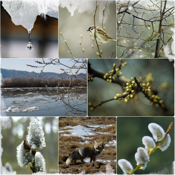 Весенний коллаж