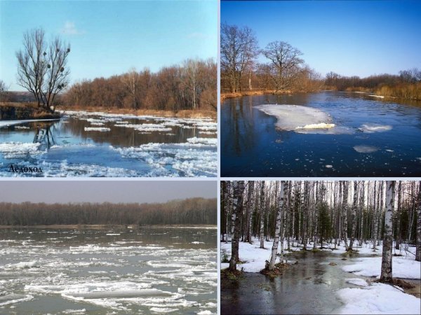 Сезонные явления весны