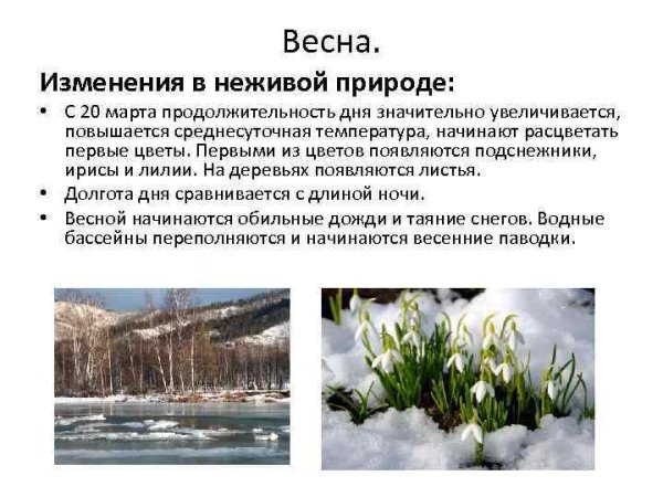 Сезонные изменения Весна
