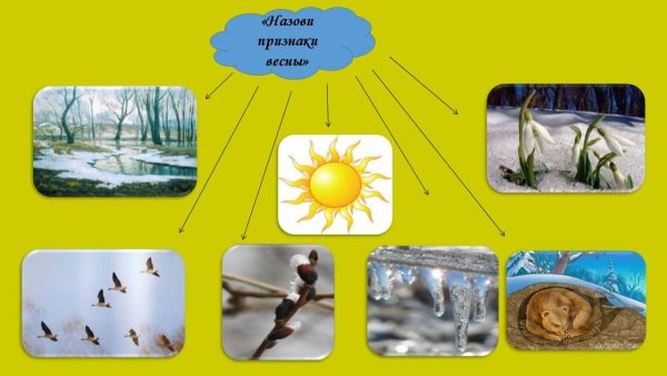 Изменения в природе с приходом весны