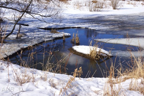 Водоемы весной
