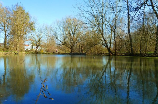 Пруд ранней весной