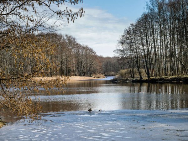 Водоемы весной