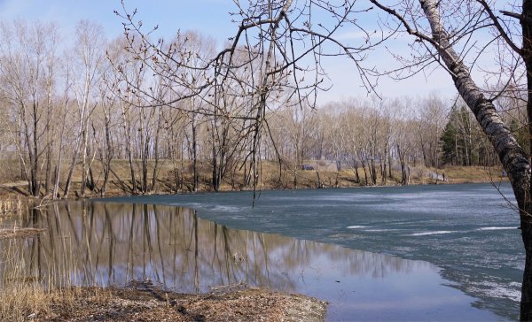 Водоемы весной