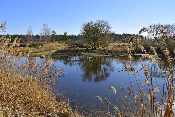 Водоемы весной