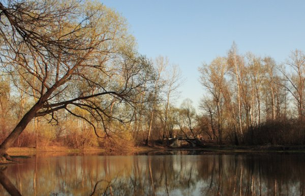 Водоемы весной