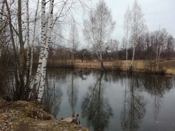 Водоемы весной