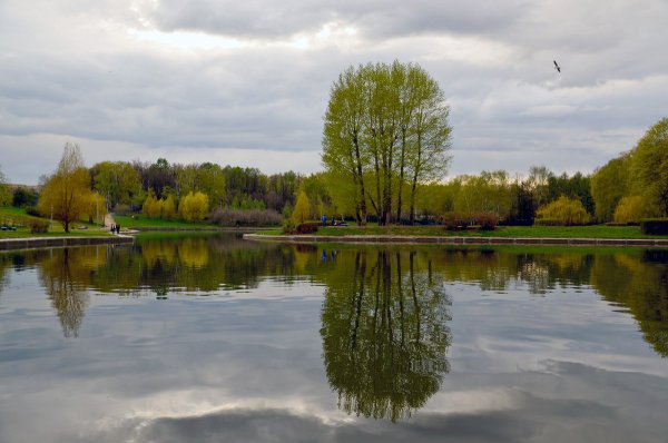 Весенний пруд