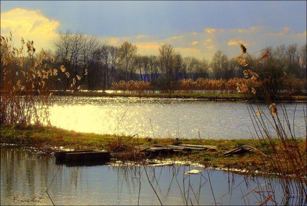 Весенний пруд картинка