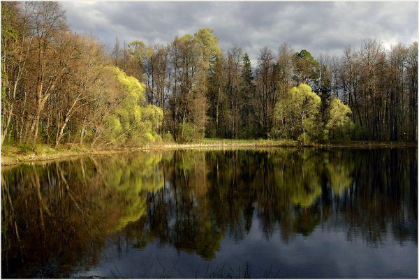 Прудик весенний