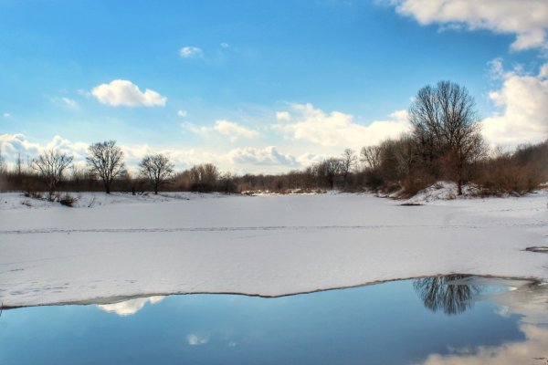 Царицыно пруд весной