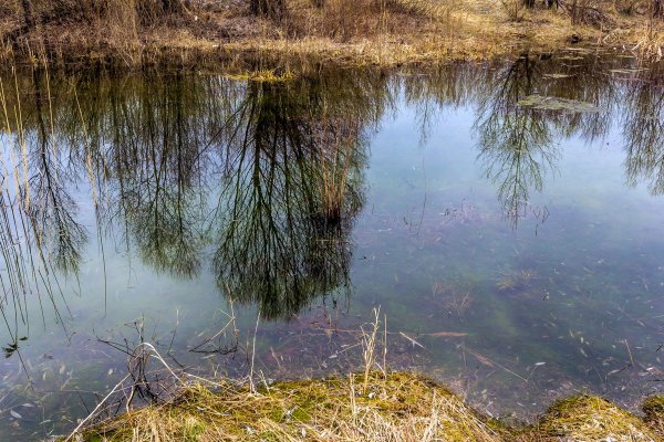 Весна в Брянске фото