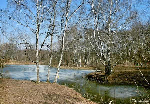 Фото пруда 4 на 4 3 глубина