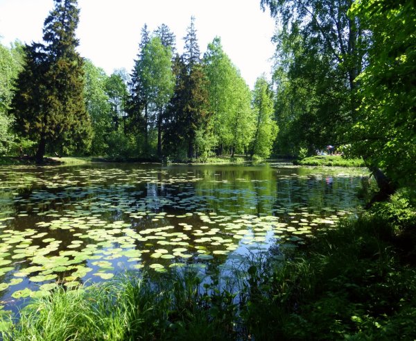 Пруд весной