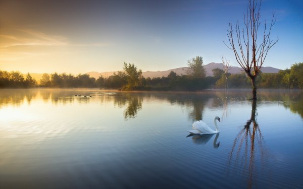 Природа деревня речка Березки