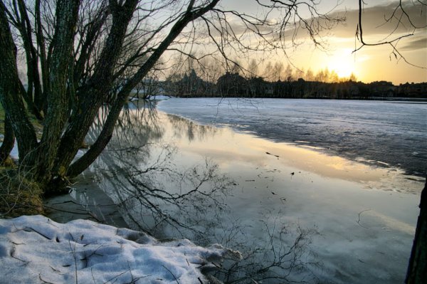 Прудик весенний