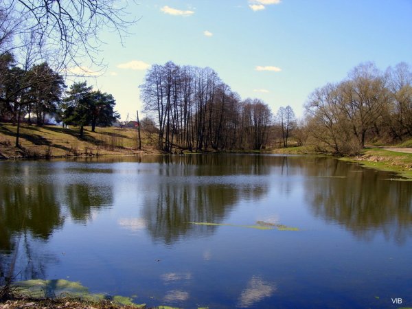 Река природа и цветы