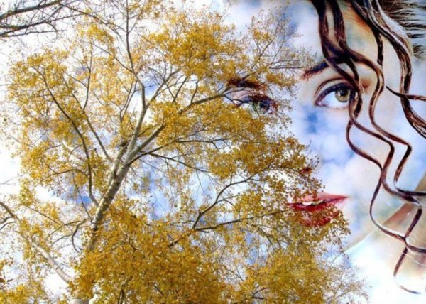 Девушка осенней березы
