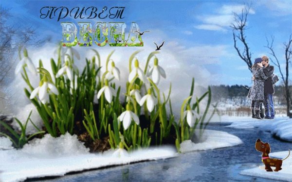 Полевые цветы,люди