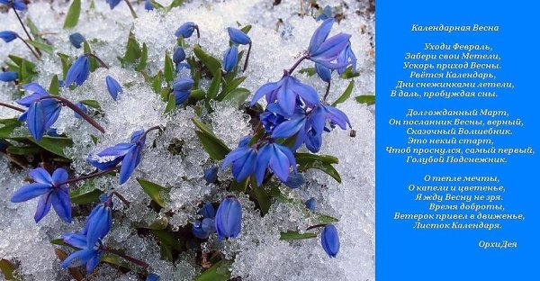 Впусти весну в окошко