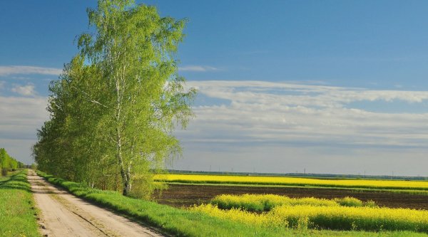 Весна в деревне