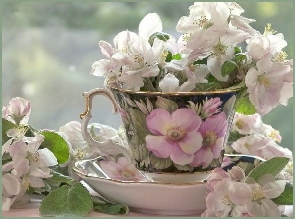 Прекрасного дня с животными