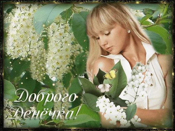 На ветке птичка доброе утро