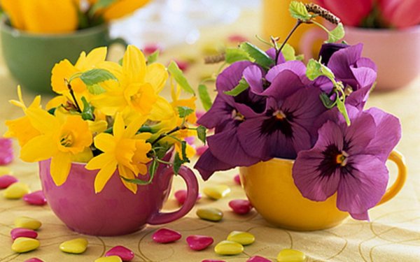 Доброгого майсконо утра