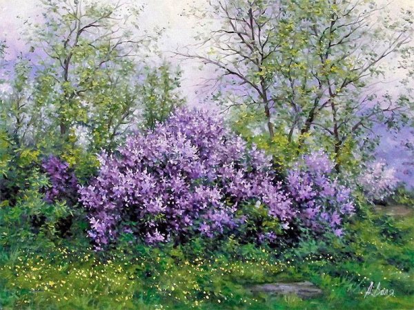 Живопись сирень Александр Геодаков