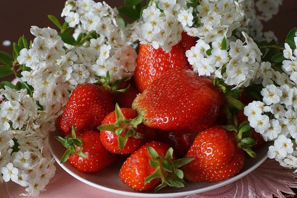 Цветок клубники